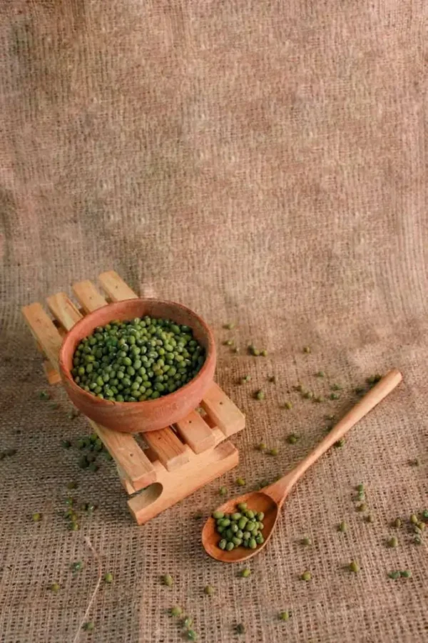 Kacang Hijau Organik